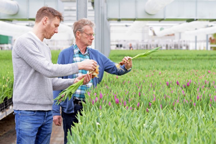 Tulpen van Sam haalt nu al CO2-doelstelling voor 2025