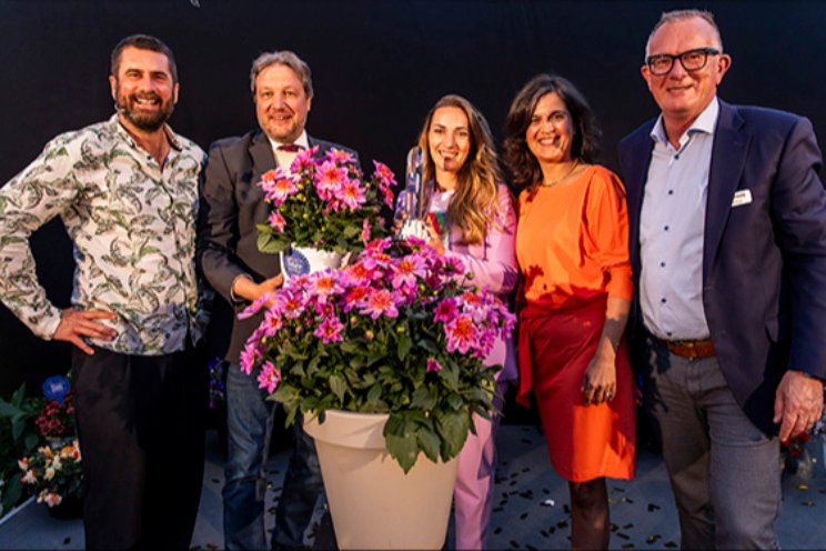 Florensis wint FleuroStar Award met nieuwe Dahlia