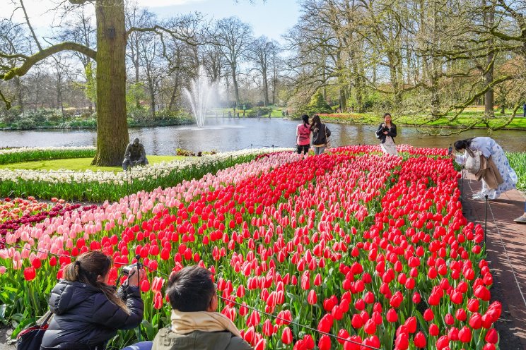 Keukenhof zoekt directeur