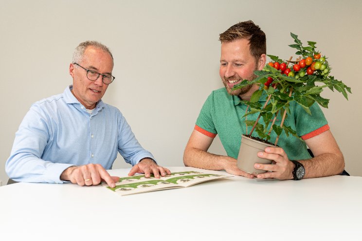 Vreugdenhil start tak voor Breeding & Seeds