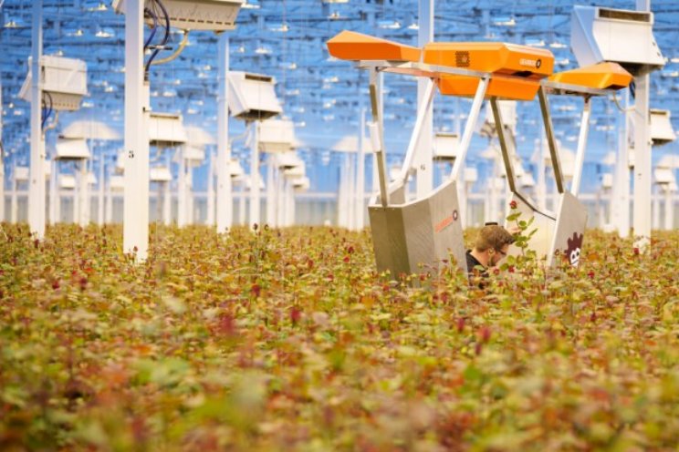 Hoe ver is tuinbouw met robotisering?