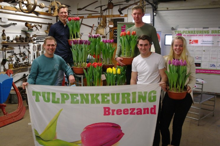 Breezand bijna weer van start met Tulpenkeuren