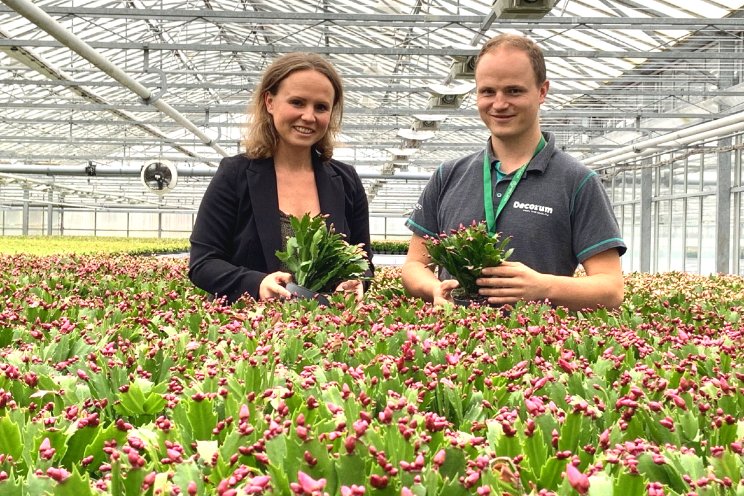 125 jaar Hofland Flowering Plants