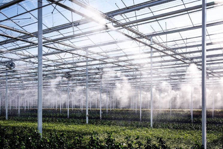 20% EG-Subsidie op installatie FOG-System