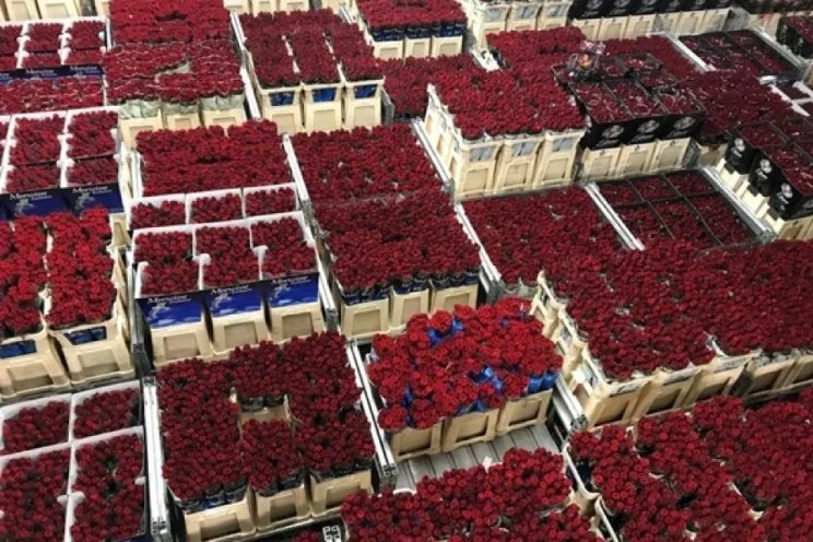 Klassiek rood voert boventoon met Valentijn