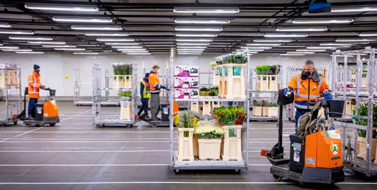 Logistiek FloraHolland stap voor stap beter