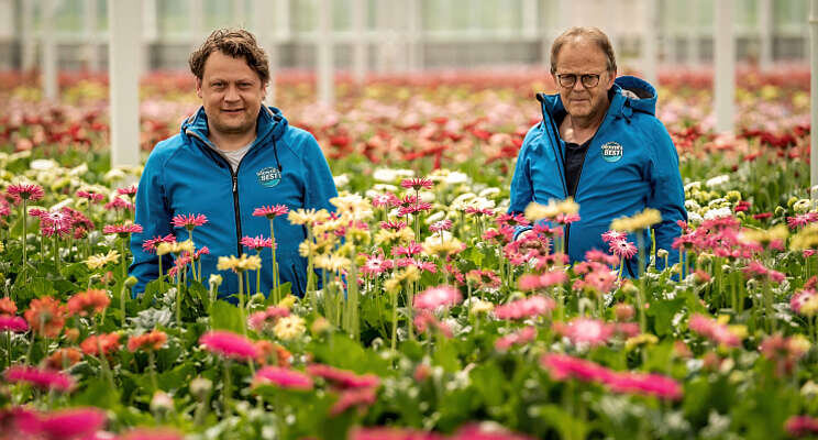 Topline Gerbera stapt over naar 4 ha full LED