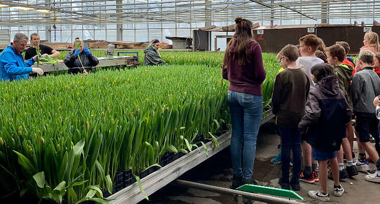 Schoolexcursie op tulpenbedrijf