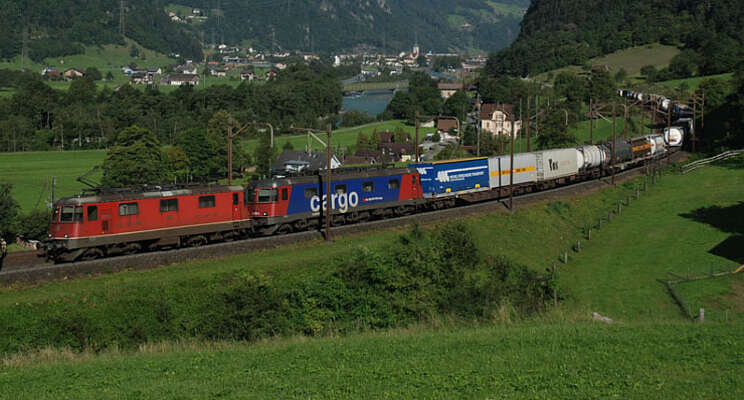 Kansen voor vervoer sierteelt per spoor