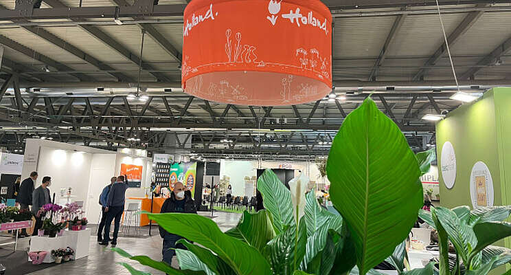 Holland Collectief terug op beurs Myplant & Garden