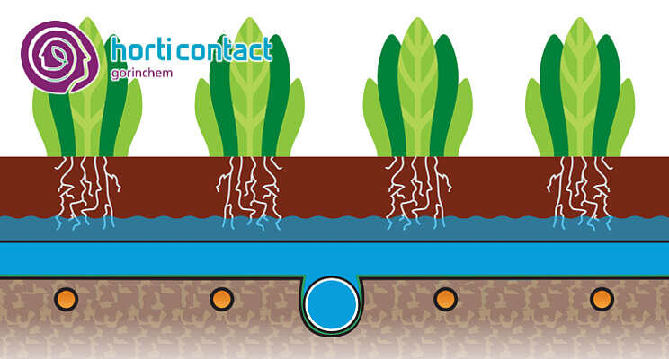 HortiContact Innovation Award - Preshow 2022: ErfGoed