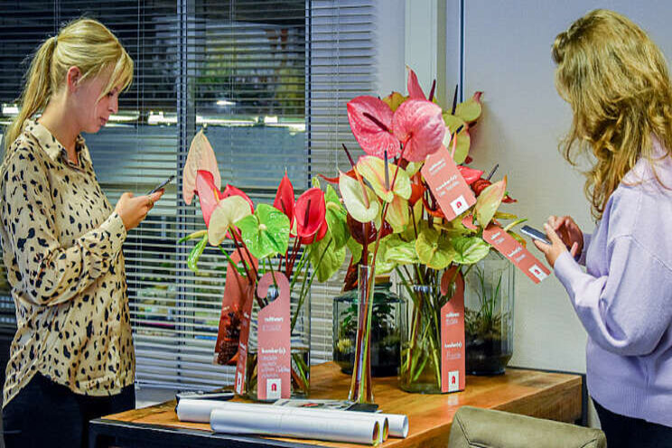 Inspiratie tijdens Anthurium Inspiration Weeks