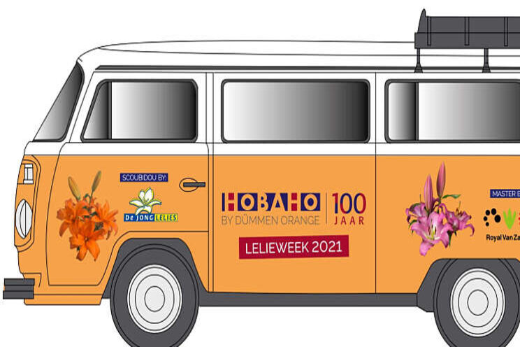 Hobaho lelieweek 'on tour'