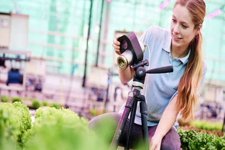 'Koala' succesvol in Greenhouse Challenge