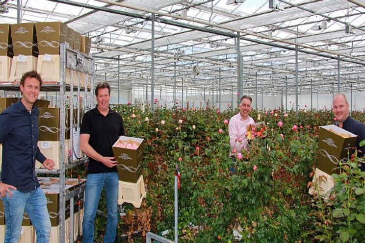 Parfum Flower Company verkoopt rozen Dmmen