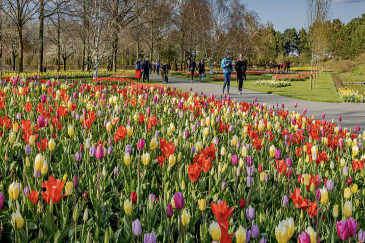 Keukenhof alweer gesloten