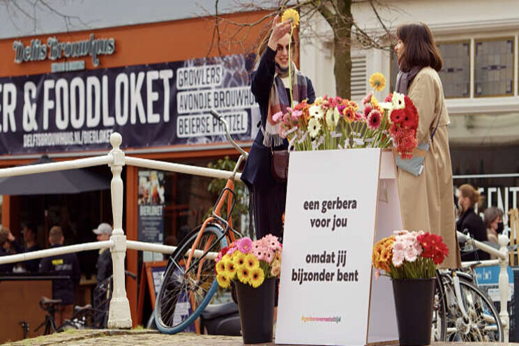 Video: Gerbera's kleuren het straatbeeld in Delft