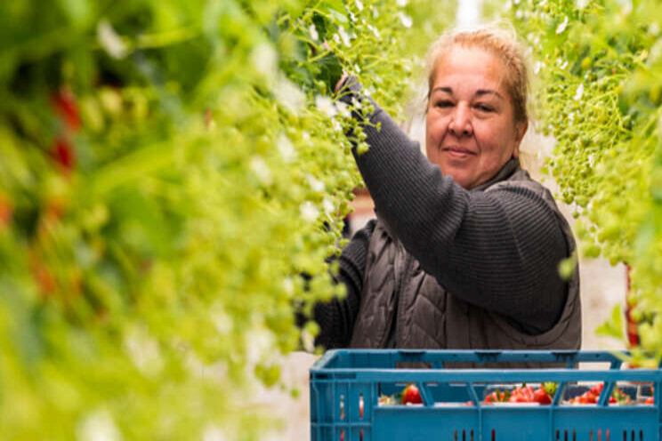 'Te weinig nieuwe huizen voor arbeidsmigranten'