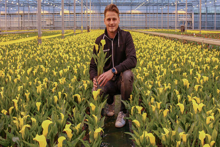 Vreugdenhil Bulbs & Plants breidt salesteam uit