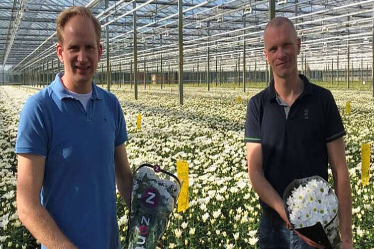 Van Geel Chrysanten sluit zich aan bij Zentoo