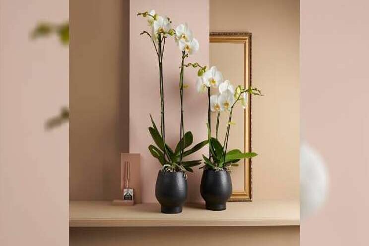 Nieuw label Opti-flor