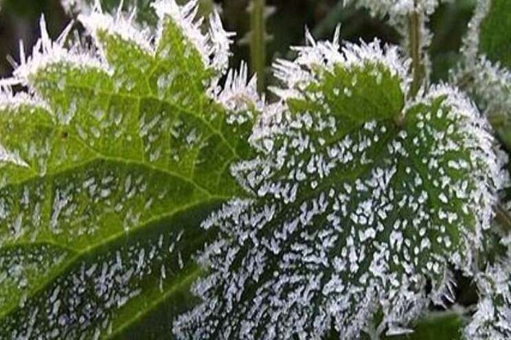 'Moleculaire verwarmers' vergroten opbrengst