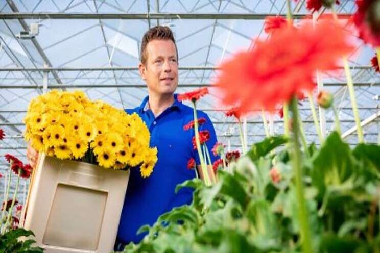 Ook productgroep Gerbera gestart met emmer Fc588